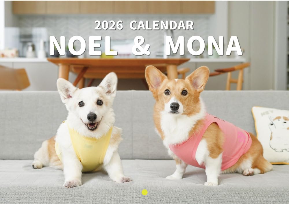 Amazon | 【予約販売】 ノエル&モナ コーギー 犬 2026年 壁掛け